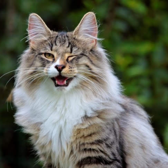 Meet your Posher, Joanie! - Picture 16 of 16